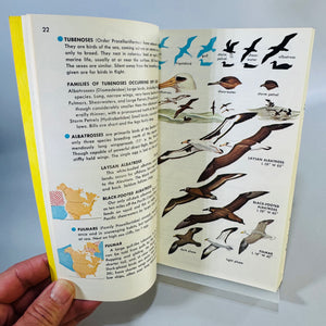 Birds of North America (1966) — Robbins, Bruun & Zim; Illus. Arthur Singer | Golden Press Paperback, Ornithology Field Guide • Natural History