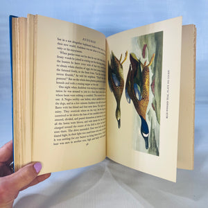 Audubon by Constance Rourke with 12 Colored Plates from Original Audubon Prints Black and White Illustrations by James MacDonald 1936 Harcourt Brace and Company