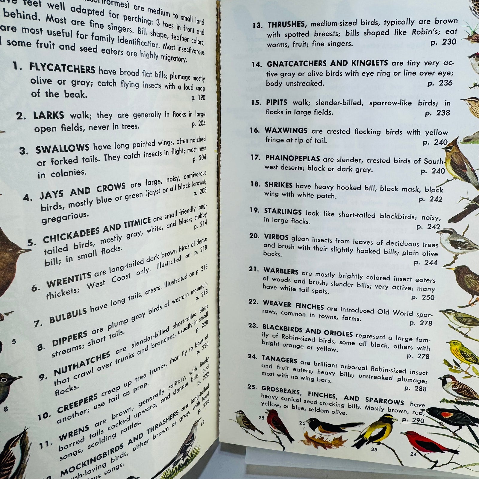 Birds of North America (1966) — Robbins, Bruun & Zim; Illus. Arthur Singer | Golden Press Paperback, Ornithology Field Guide • Natural History