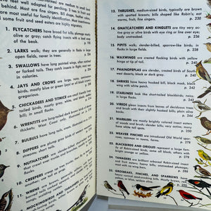 Birds of North America (1966) — Robbins, Bruun & Zim; Illus. Arthur Singer | Golden Press Paperback, Ornithology Field Guide • Natural History