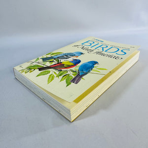 Birds of North America (1966) — Robbins, Bruun & Zim; Illus. Arthur Singer | Golden Press Paperback, Ornithology Field Guide • Natural History