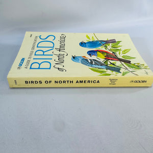 Birds of North America (1966) — Robbins, Bruun & Zim; Illus. Arthur Singer | Golden Press Paperback, Ornithology Field Guide • Natural History