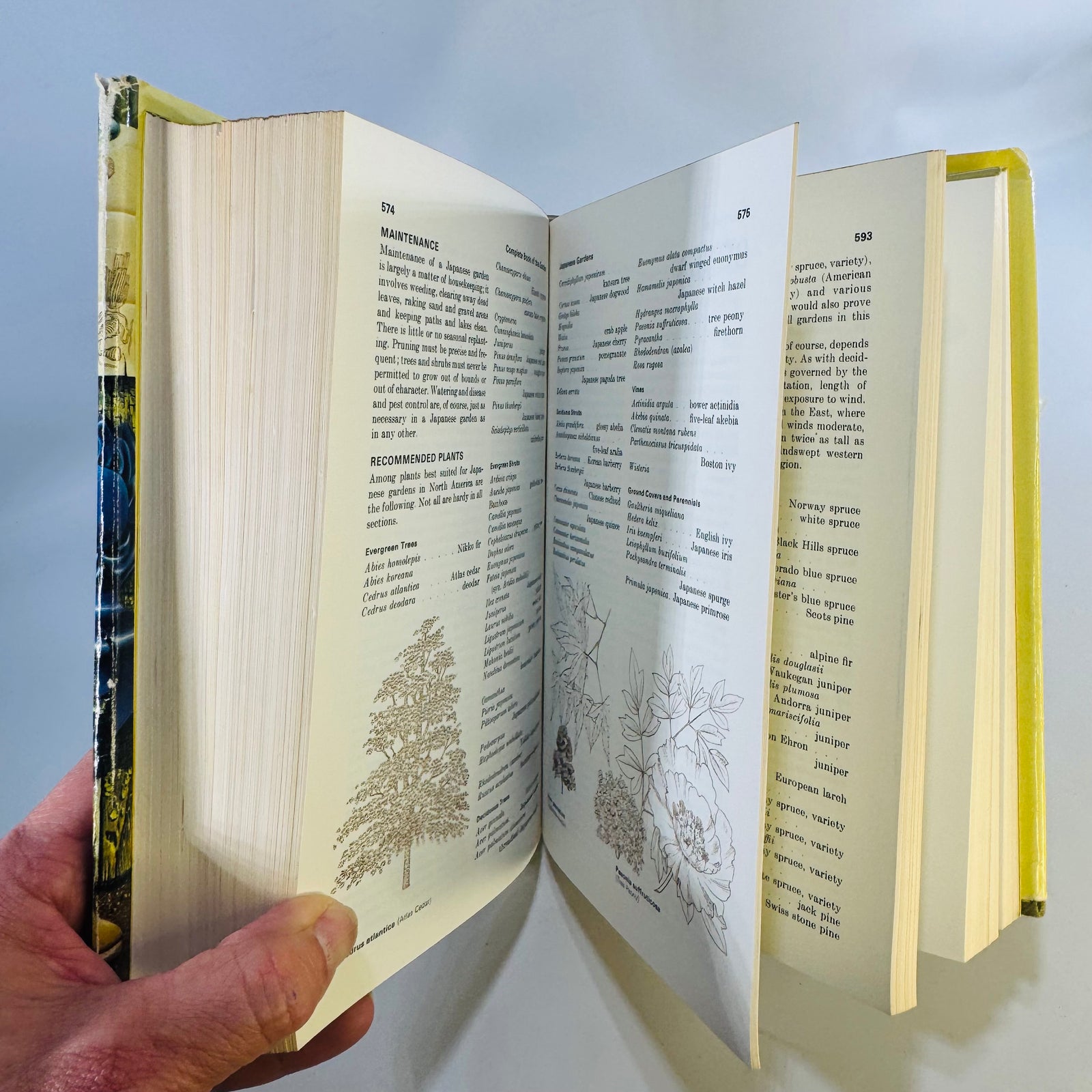 Reader's Digest Complete Book of The Garden, 1966, 886 Pages, Illustrated Gardening Reference