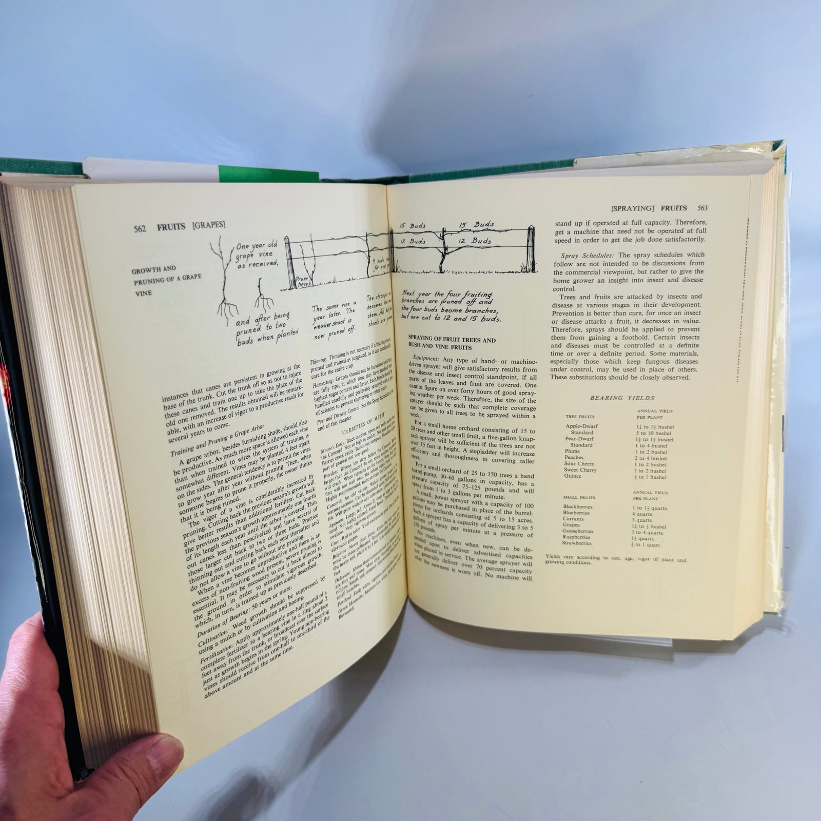 America's Garden Book by James and Louise Bush-Brown, 1958 Newly Revised Edition, 752 Pages, Practical Gardening Reference with Historic MSU Extension Bulletin