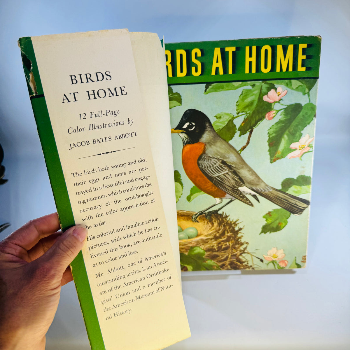 Vintage Birds at Home Book 1942 Marguerite Henry Jacob Bates Abbott Illustrated Bird Book