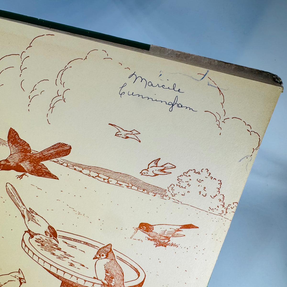 Vintage Birds at Home Book 1942 Marguerite Henry Jacob Bates Abbott Illustrated Bird Book