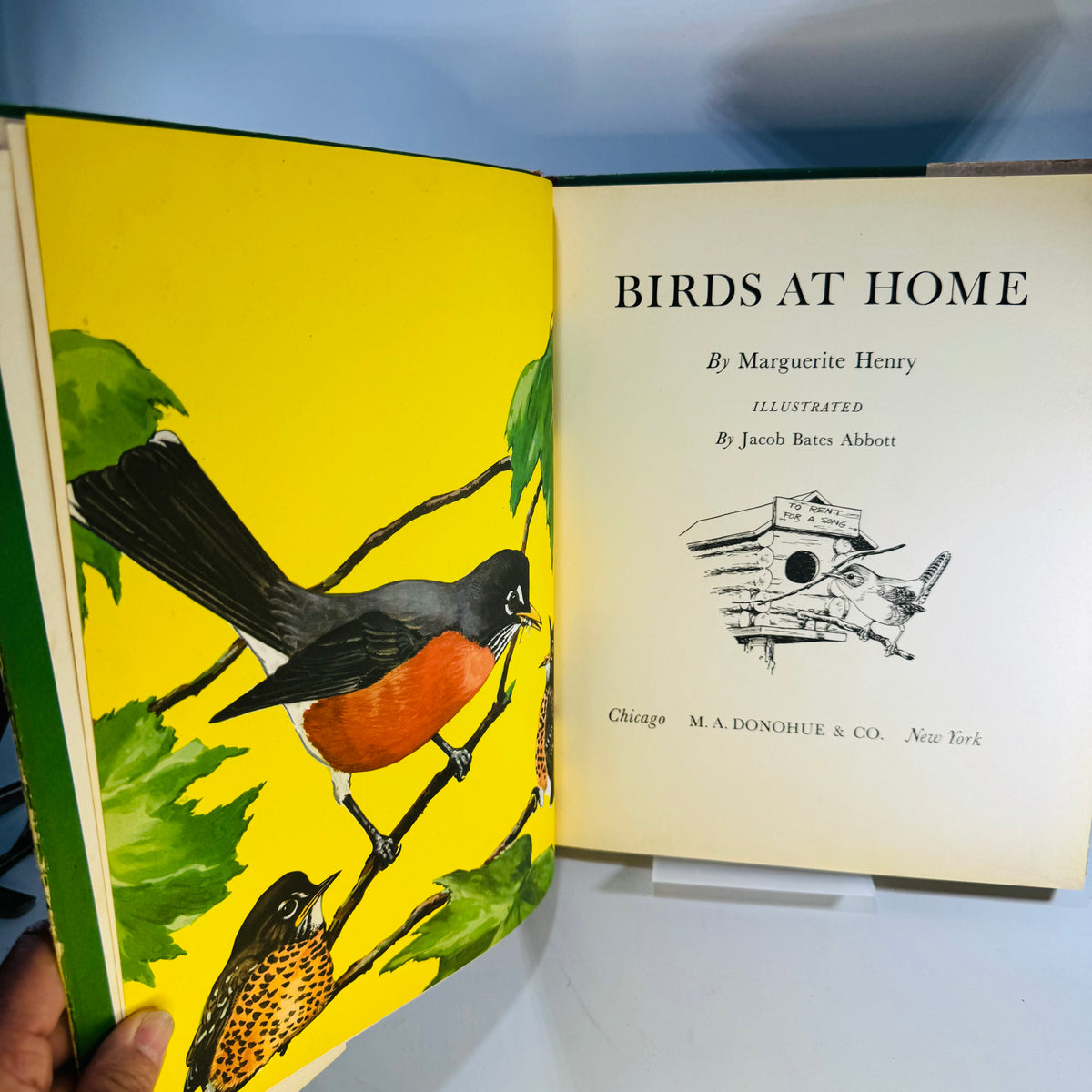 Vintage Birds at Home Book 1942 Marguerite Henry Jacob Bates Abbott Illustrated Bird Book