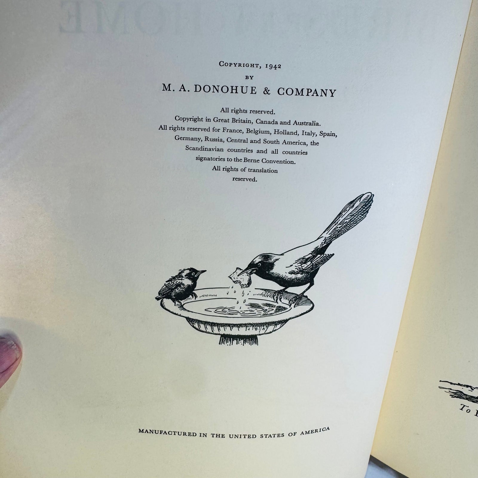 Vintage Birds at Home Book 1942 Marguerite Henry Jacob Bates Abbott Illustrated Bird Book