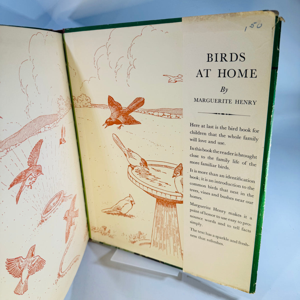 Vintage Birds at Home Book 1942 Marguerite Henry Jacob Bates Abbott Illustrated Bird Book