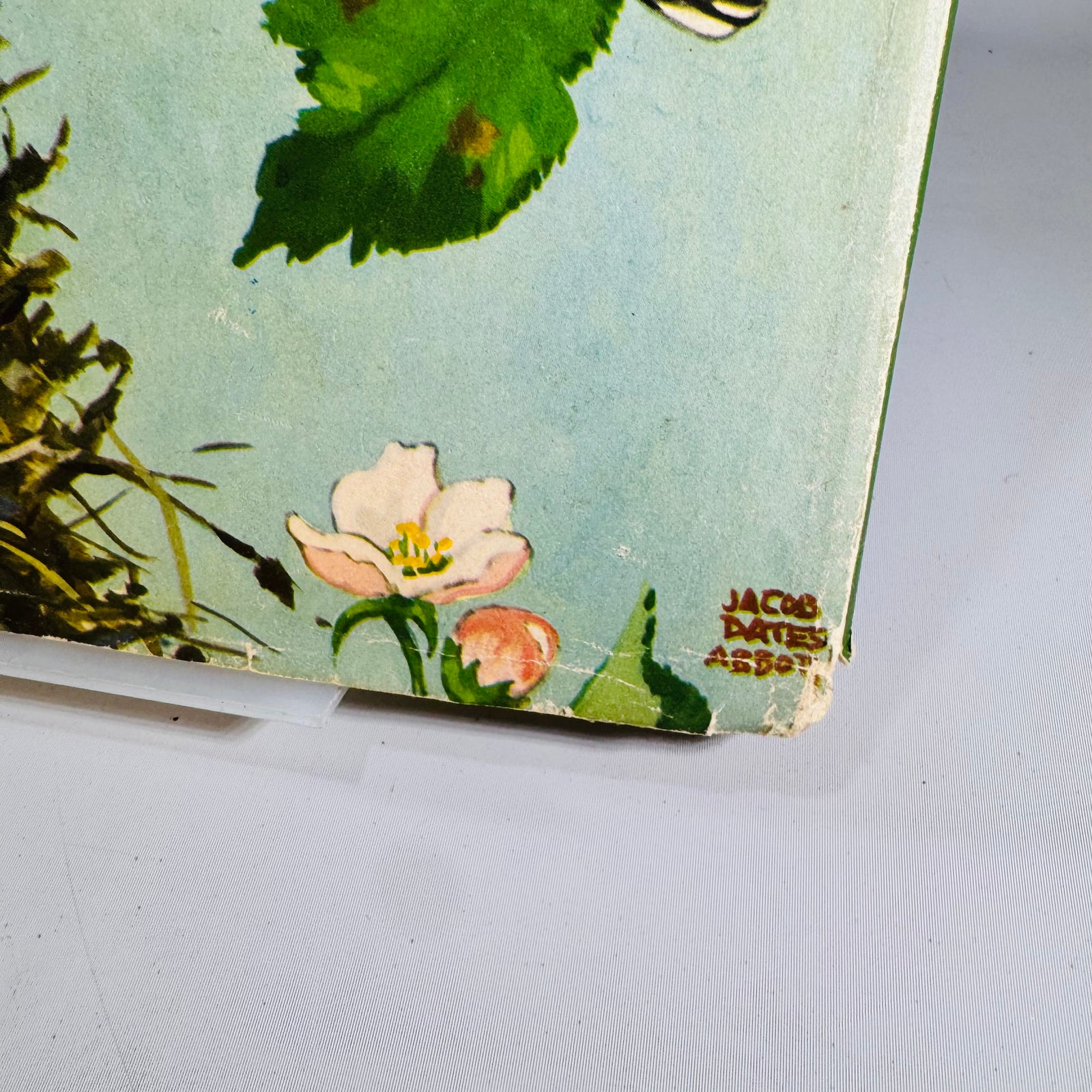 Vintage Birds at Home Book 1942 Marguerite Henry Jacob Bates Abbott Illustrated Bird Book