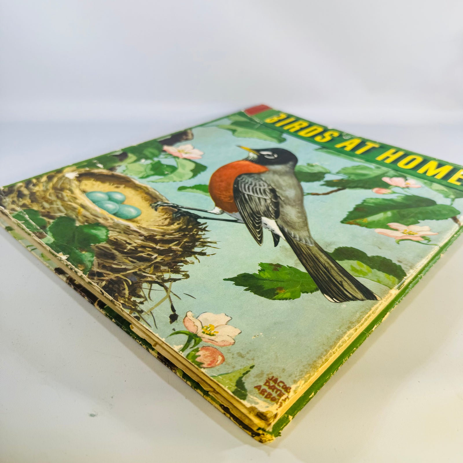 Vintage Birds at Home Book 1942 Marguerite Henry Jacob Bates Abbott Illustrated Bird Book