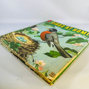Vintage Birds at Home Book 1942 Marguerite Henry Jacob Bates Abbott Illustrated Bird Book