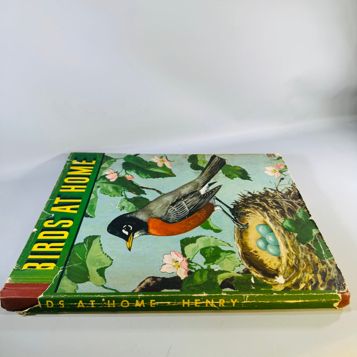 Vintage Birds at Home Book 1942 Marguerite Henry Jacob Bates Abbott Illustrated Bird Book