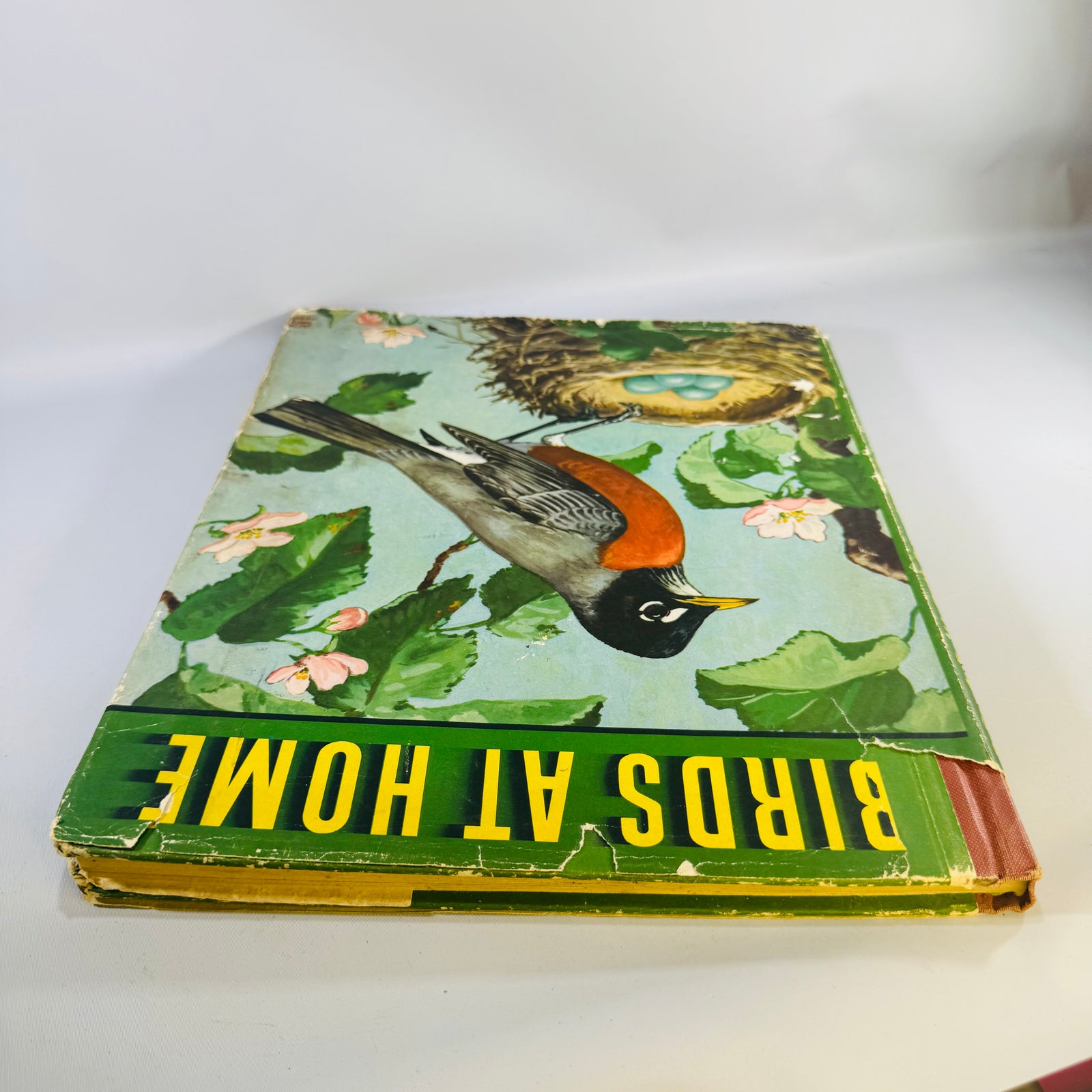 Vintage Birds at Home Book 1942 Marguerite Henry Jacob Bates Abbott Illustrated Bird Book