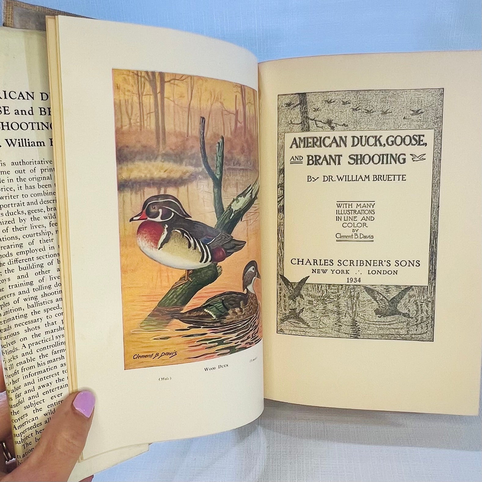American Duck Goose & Brant Shooting by Dr. William Bruette inline and Color Illustrations by Clement B. Davis 1934 Charles Scribners Sons