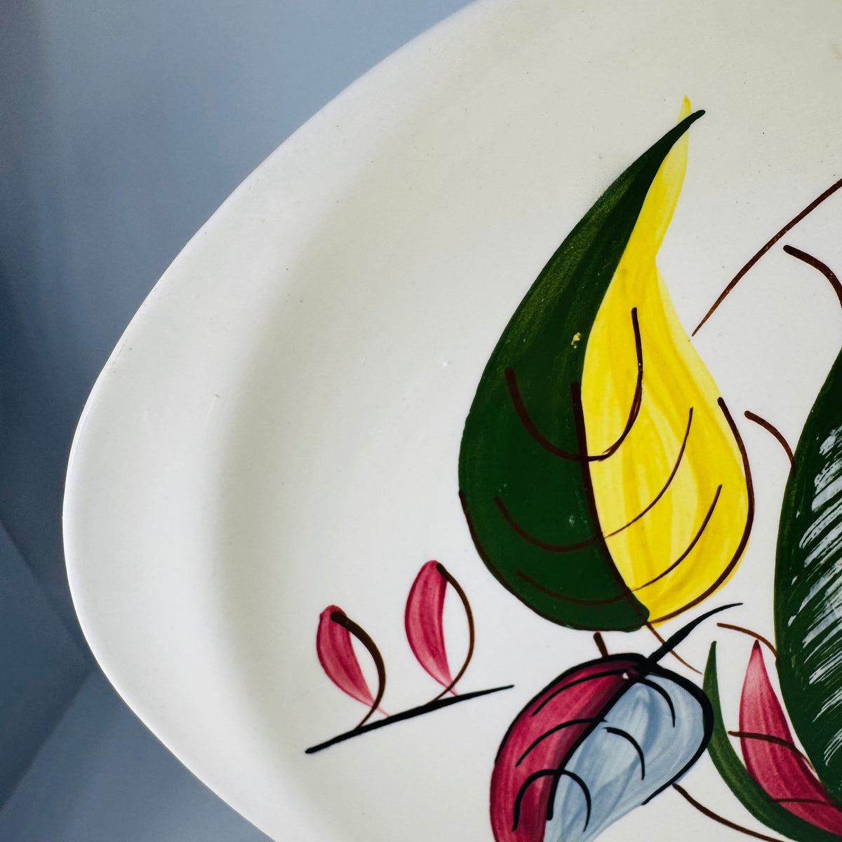Blue Ridge Fantasia Oval Platter Vintage Hand Painted Southern Potteries Leaf Serving Dish