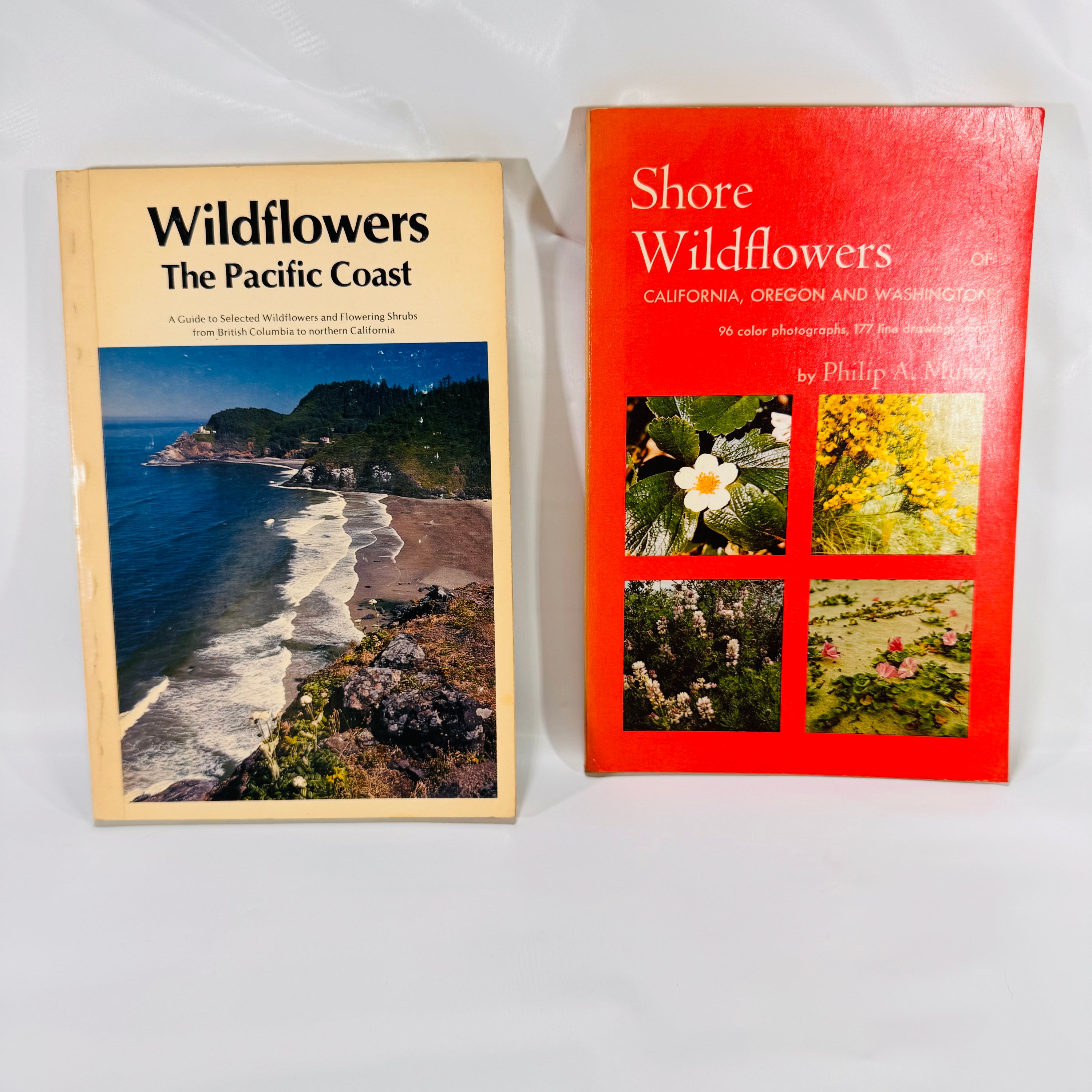 Vintage Nature Books-Reading Vintage