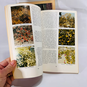 2 Vintage Wildflower Guidebooks – Pacific Coast & Shore Wildflowers (1964–1980), Paperback