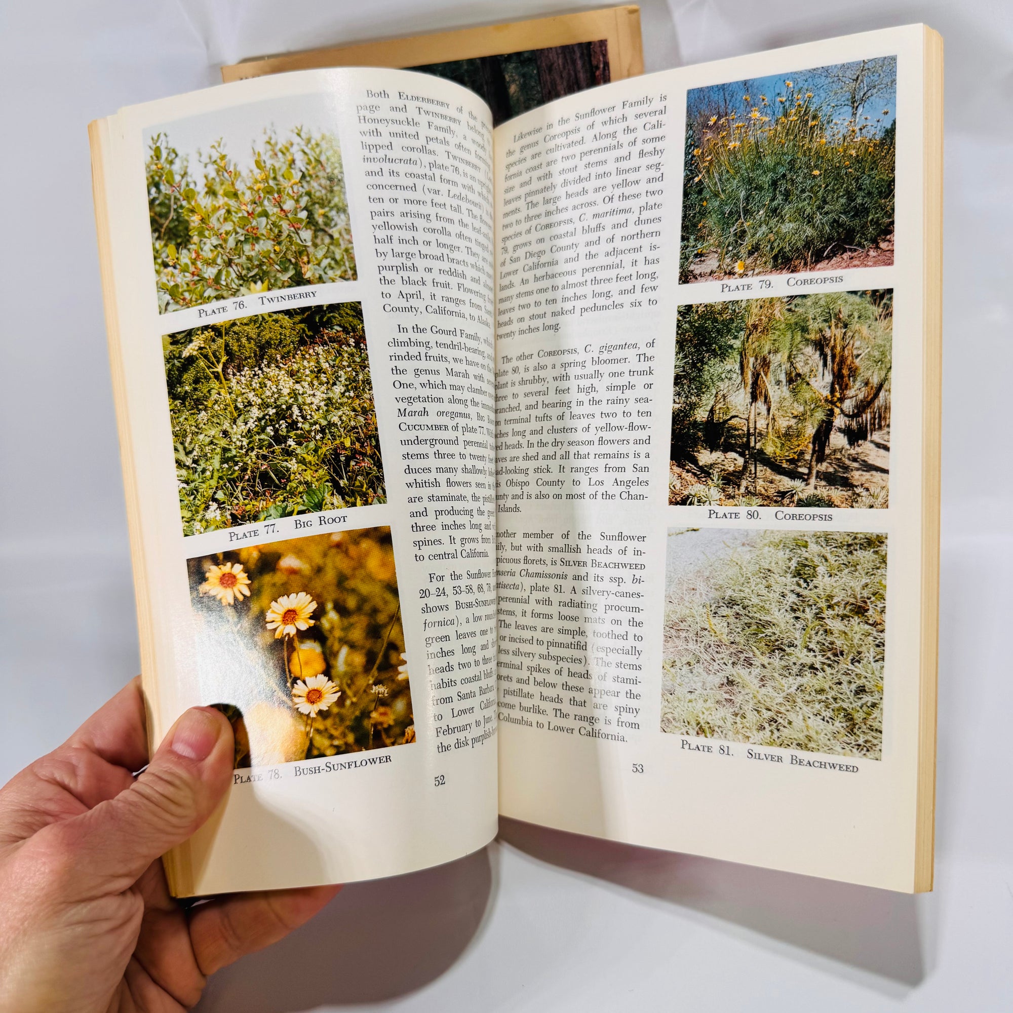 2 Vintage Wildflower Guidebooks – Pacific Coast & Shore Wildflowers (1964–1980), Paperback
