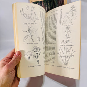 2 Vintage Wildflower Guidebooks – Pacific Coast & Shore Wildflowers (1964–1980), Paperback