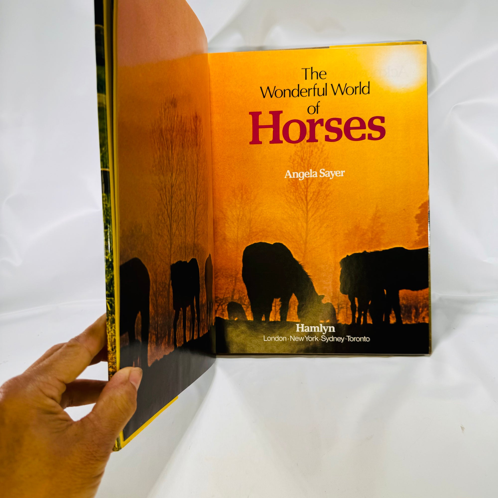 The Wonderful World of Horses by Angela Sayer 1976 Hamlyn Hardcover