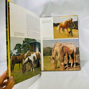 The Wonderful World of Horses by Angela Sayer 1976 Hamlyn Hardcover