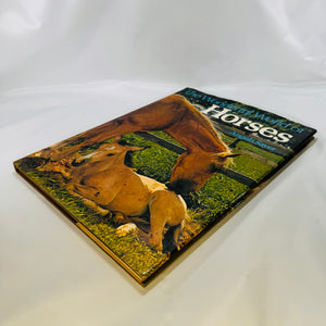 The Wonderful World of Horses by Angela Sayer 1976 Hamlyn Hardcover