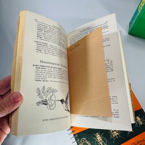 Mid-Century Natural History Field Guide Book Set (1950s–1970s) — Peterson, Simon & Schuster, Jaques | Illustrated Science Classics, Natural History