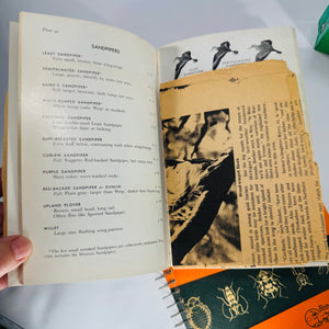 Mid-Century Natural History Field Guide Book Set (1950s–1970s) — Peterson, Simon & Schuster, Jaques | Illustrated Science Classics, Natural History