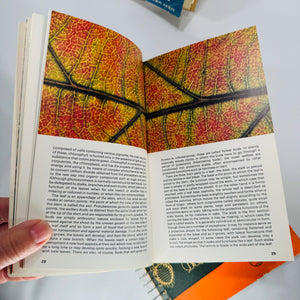 Mid-Century Natural History Field Guide Book Set (1950s–1970s) — Peterson, Simon & Schuster, Jaques | Illustrated Science Classics, Natural History