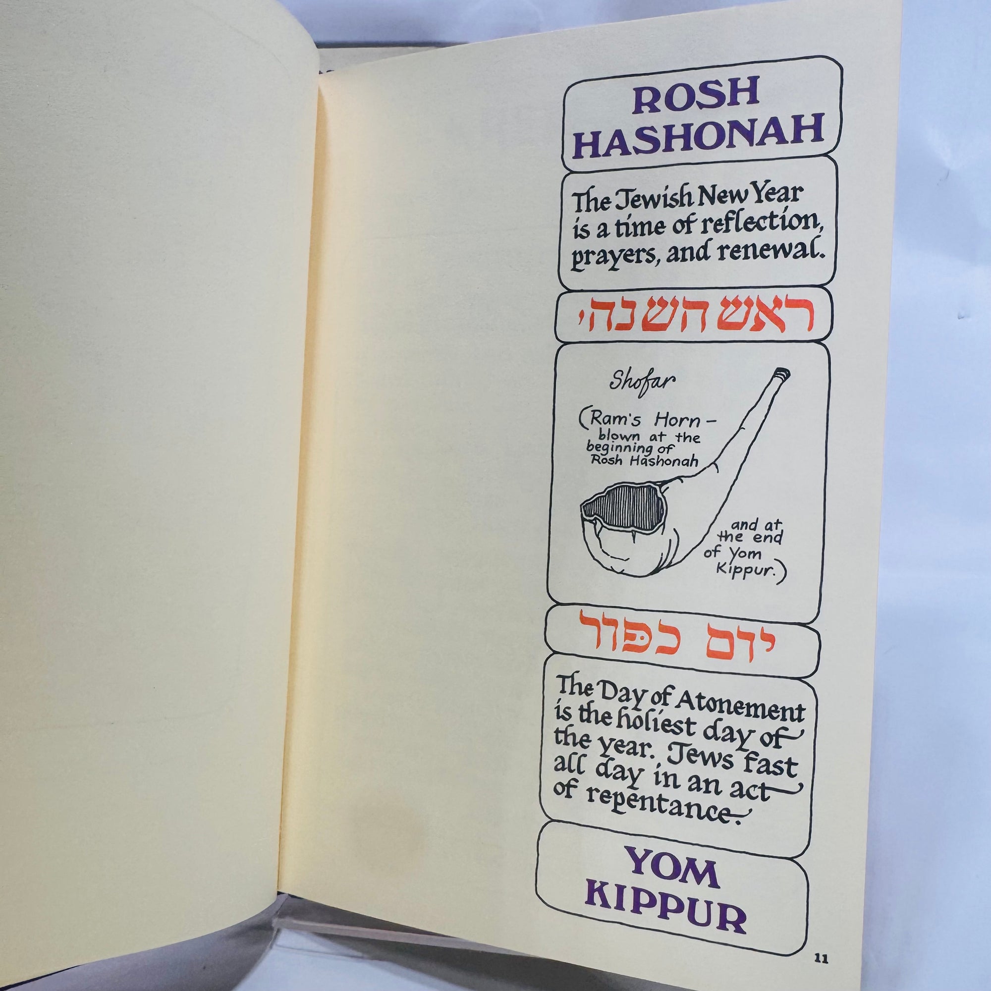 2 Vintage Jewish Cookbooks – Race to Nosh (1966) & A Festival of Jewish Cooking (1971), Hardcover with Dust Jackets