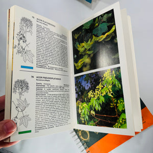 Mid-Century Natural History Field Guide Book Set (1950s–1970s) — Peterson, Simon & Schuster, Jaques | Illustrated Science Classics, Natural History