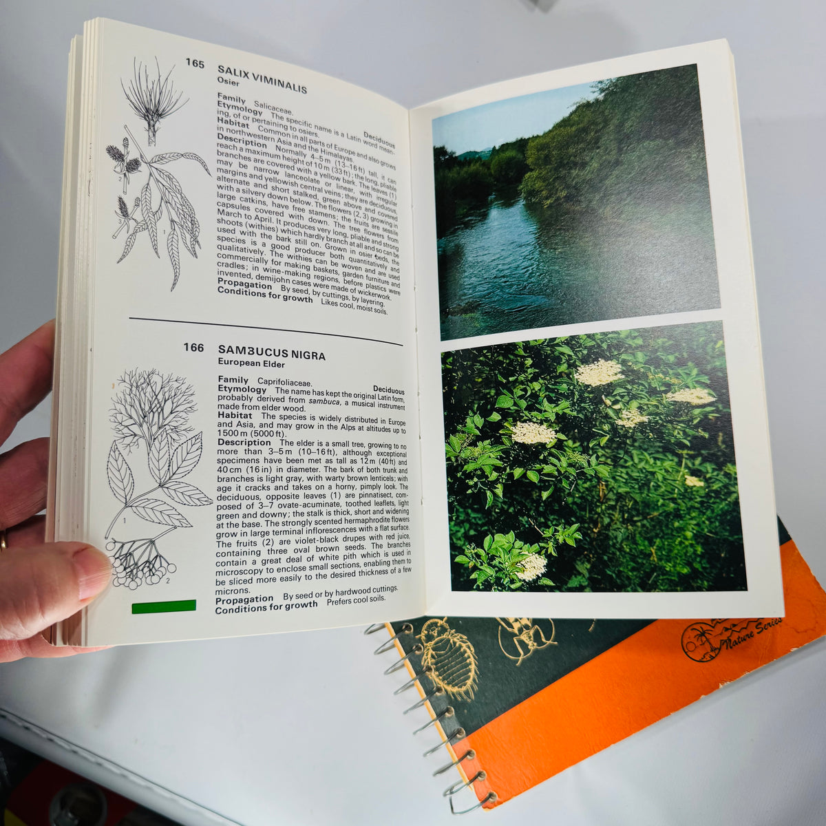 Mid-Century Natural History Field Guide Book Set (1950s–1970s) — Peterson, Simon & Schuster, Jaques | Illustrated Science Classics, Natural History