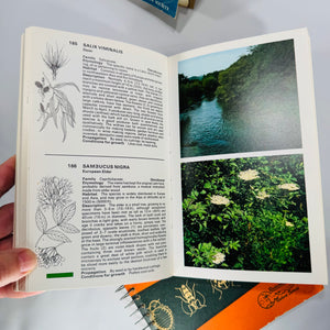 Mid-Century Natural History Field Guide Book Set (1950s–1970s) — Peterson, Simon & Schuster, Jaques | Illustrated Science Classics, Natural History