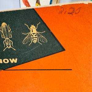 Mid-Century Natural History Field Guide Book Set (1950s–1970s) — Peterson, Simon & Schuster, Jaques | Illustrated Science Classics, Natural History