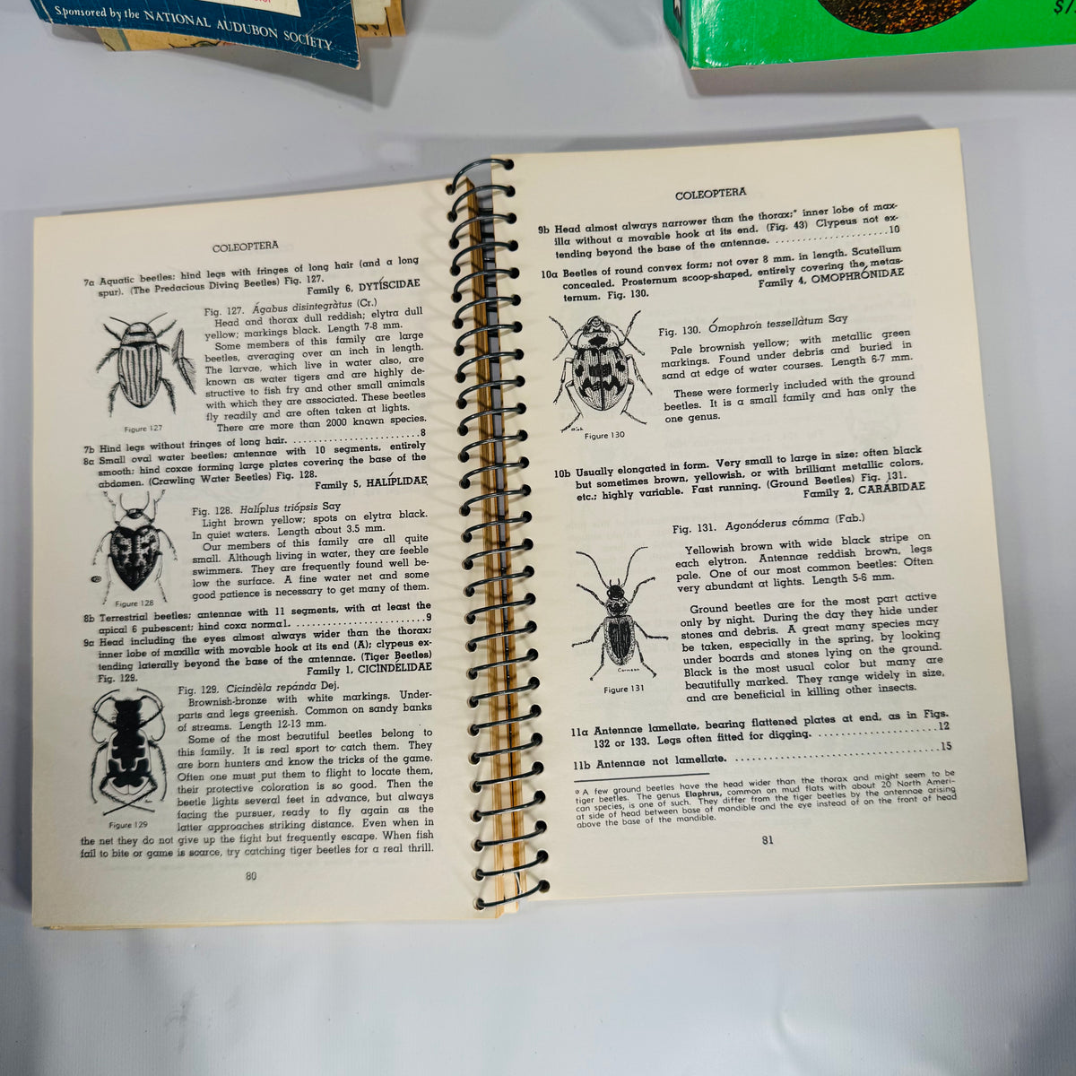 Mid-Century Natural History Field Guide Book Set (1950s–1970s) — Peterson, Simon & Schuster, Jaques | Illustrated Science Classics, Natural History