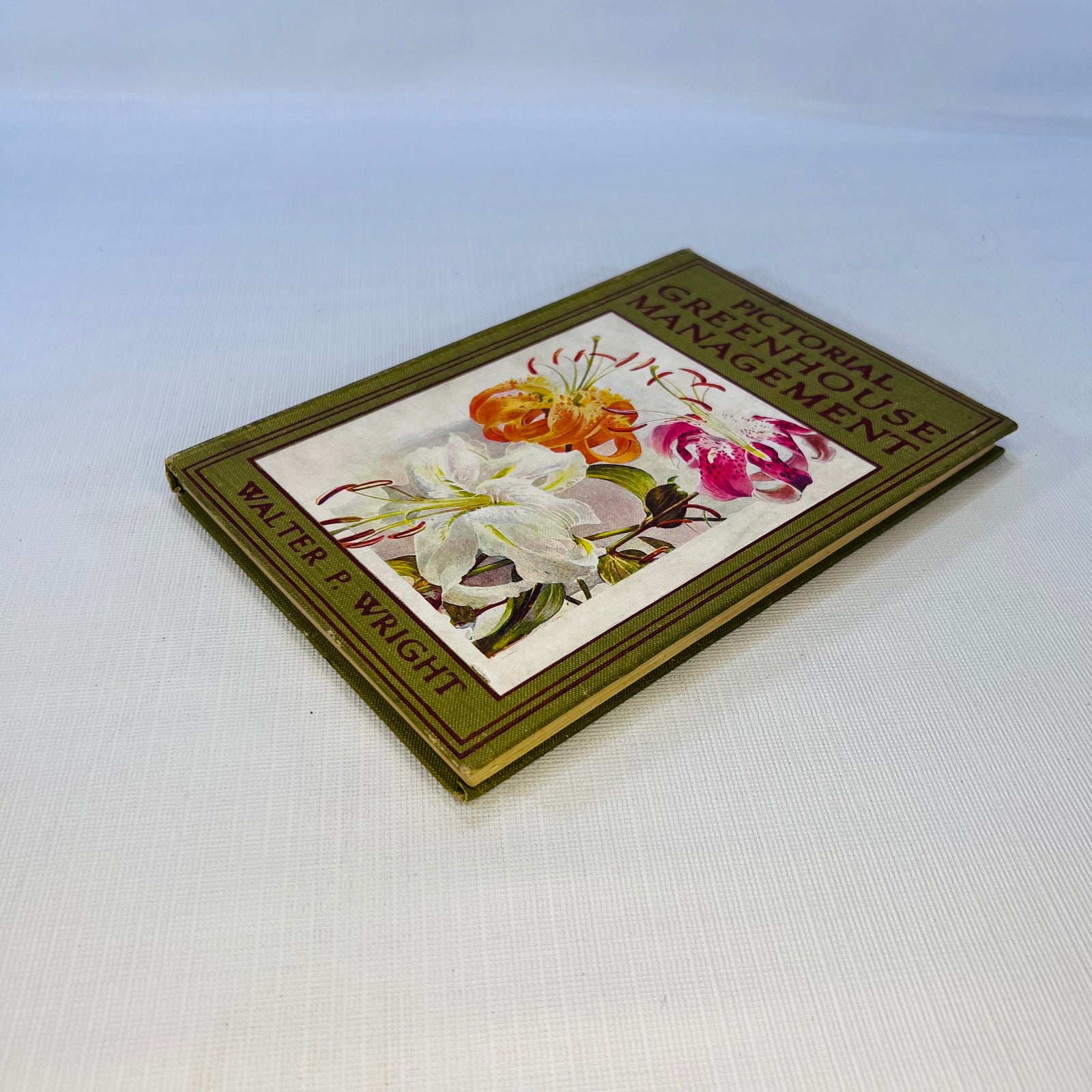 Pictorial Greenhouse Management by Walter P. Wright 1911 Cassell and Company Ltd.