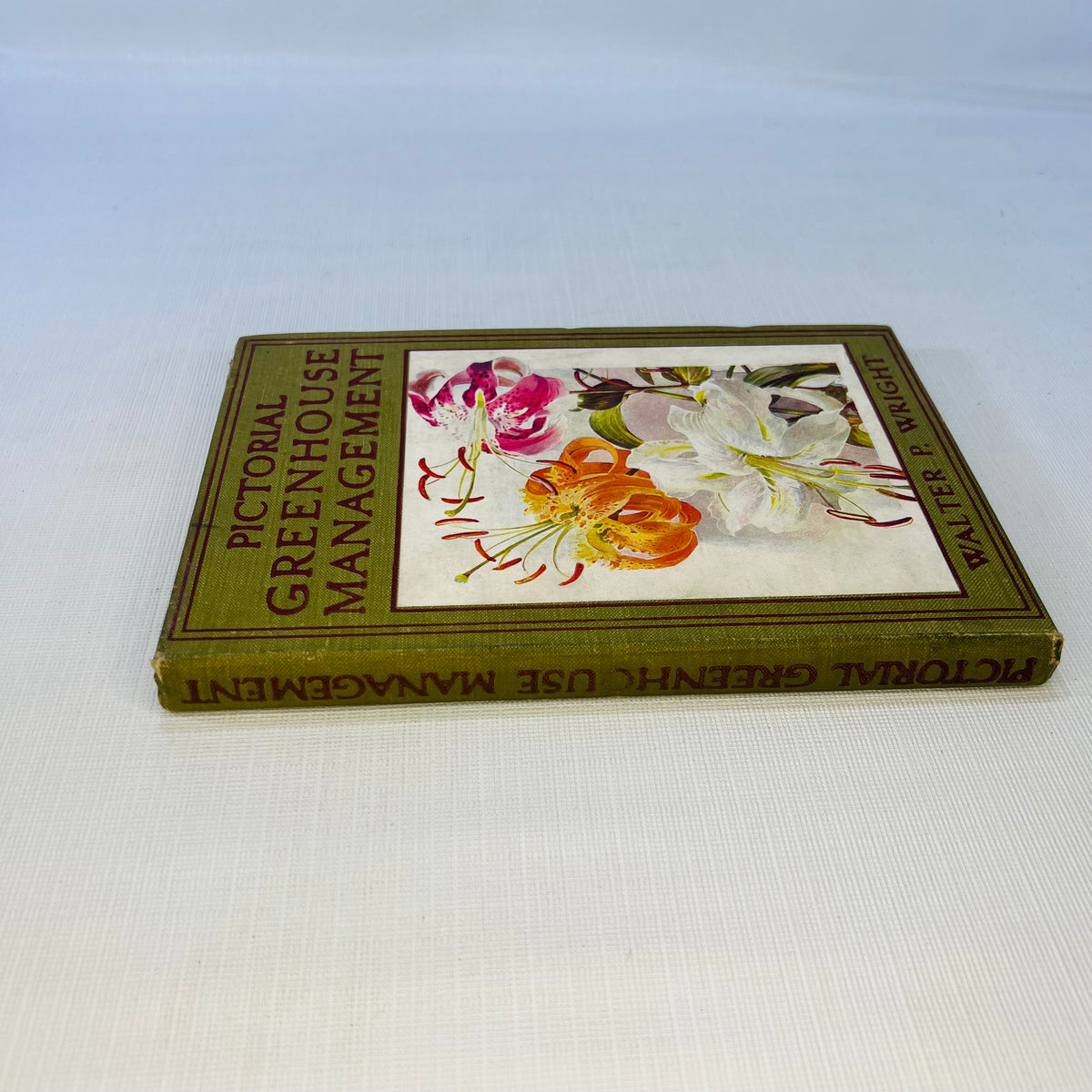 Pictorial Greenhouse Management by Walter P. Wright 1911 Cassell and Company Ltd.