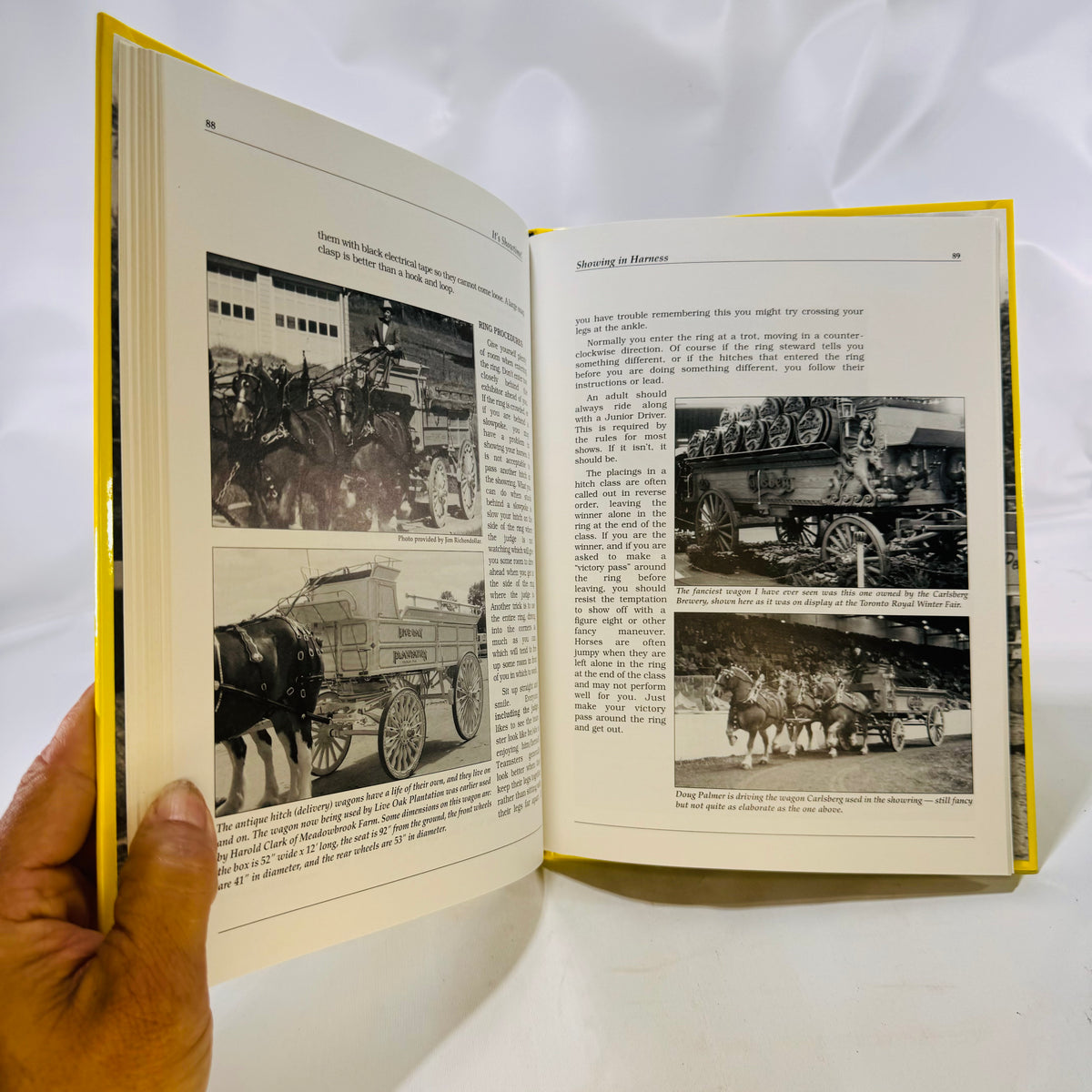 It's Showtime A Beginner's Guide to Showing Draft Horses by Robert A. Mischka Heart 1998 Prairie Press
