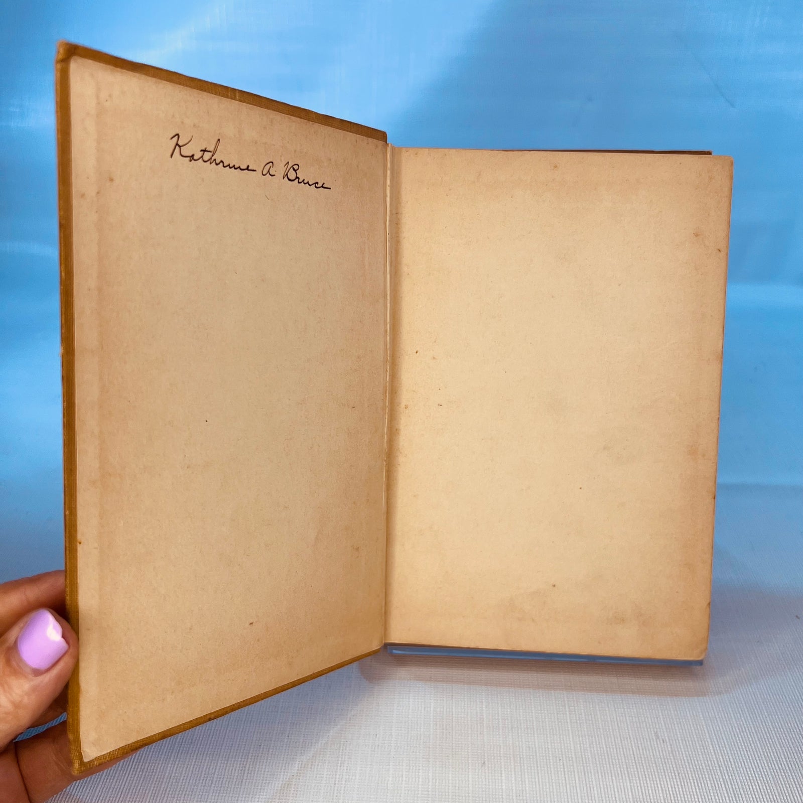 Adventures of Puss in Boots, Jr. by David Cory 1917 Harper and Brothers, Publishers