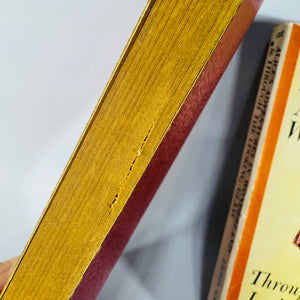 Classic Fantasy Literature — Vintage Alice in Wonderland 2-Book Paperback Set (Mid-Century) — Lewis Carroll | Tenniel Illustrations, Classic Fantasy Literature