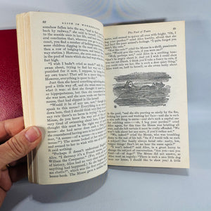 Classic Fantasy Literature — Vintage Alice in Wonderland 2-Book Paperback Set (Mid-Century) — Lewis Carroll | Tenniel Illustrations, Classic Fantasy Literature