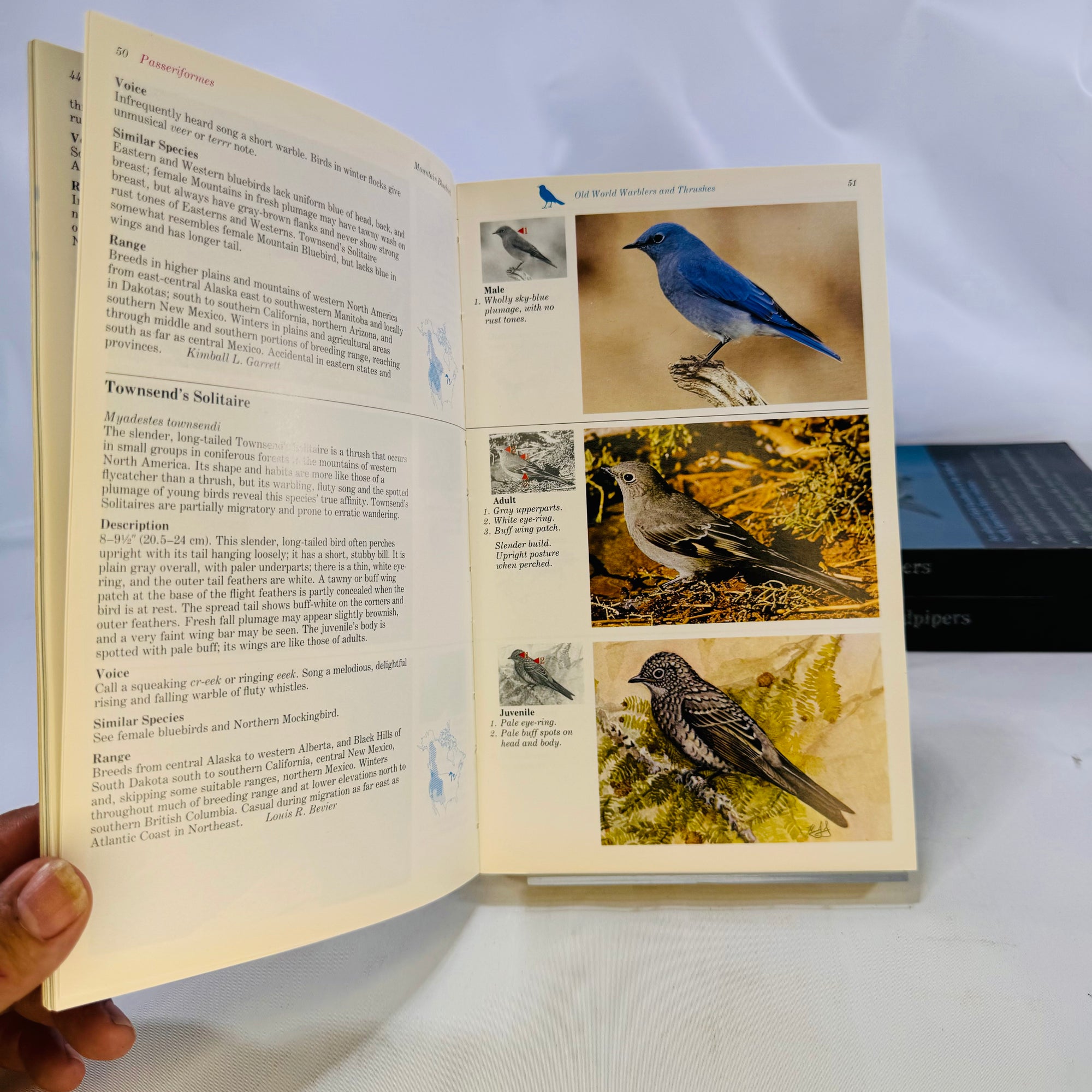 The Audubon Society Master Guide to Birding John Farrand 1983 by  First Edition Three Volumes Loons to Sandpipers Gulls to Dippers Old-World Warblers-Sparrows