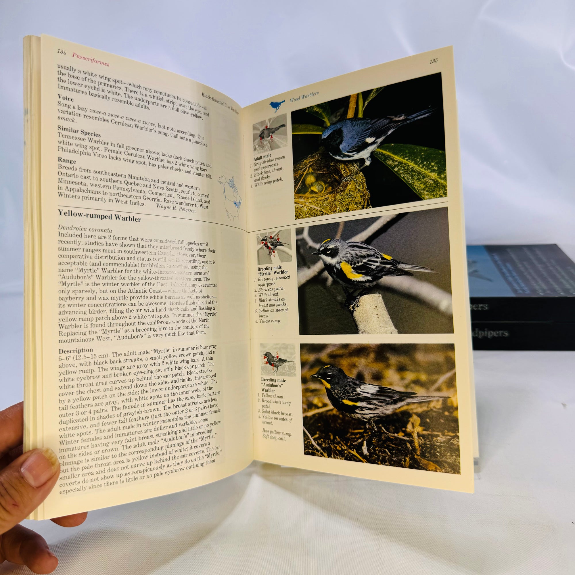 The Audubon Society Master Guide to Birding John Farrand 1983 by  First Edition Three Volumes Loons to Sandpipers Gulls to Dippers Old-World Warblers-Sparrows