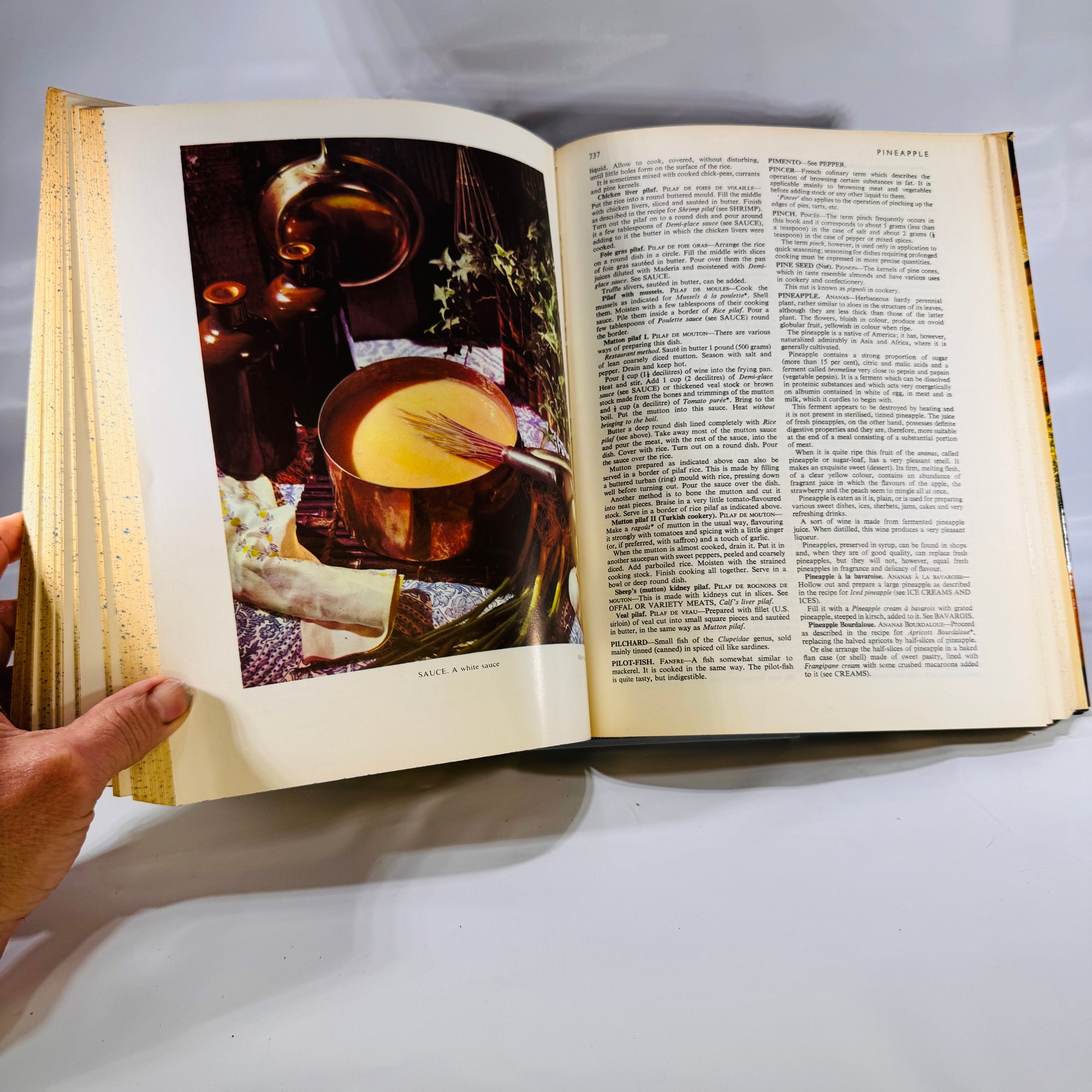 New Larousse Gastronomique The Worlds Greatest Cookery Reference Book 1983 Encyclopedia of Food Wine and Cookery Vintage Recipes Cookbook