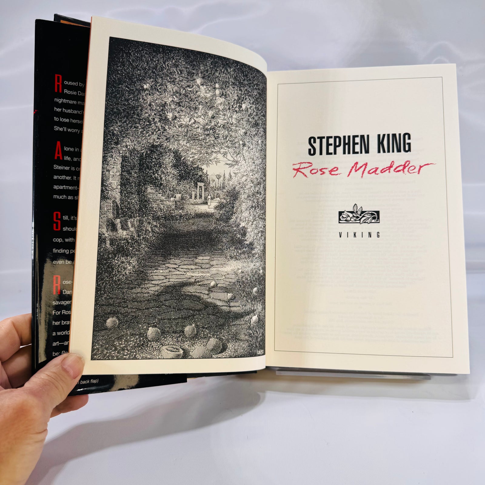 Rose Madder (Horror • Psychological Thriller) – 1995 First Edition Hardcover