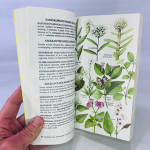 A Guide to Field Identification Wildflowers of North America by Frank Venning illustrated by Manabu C. Saito 1984 Golden Press