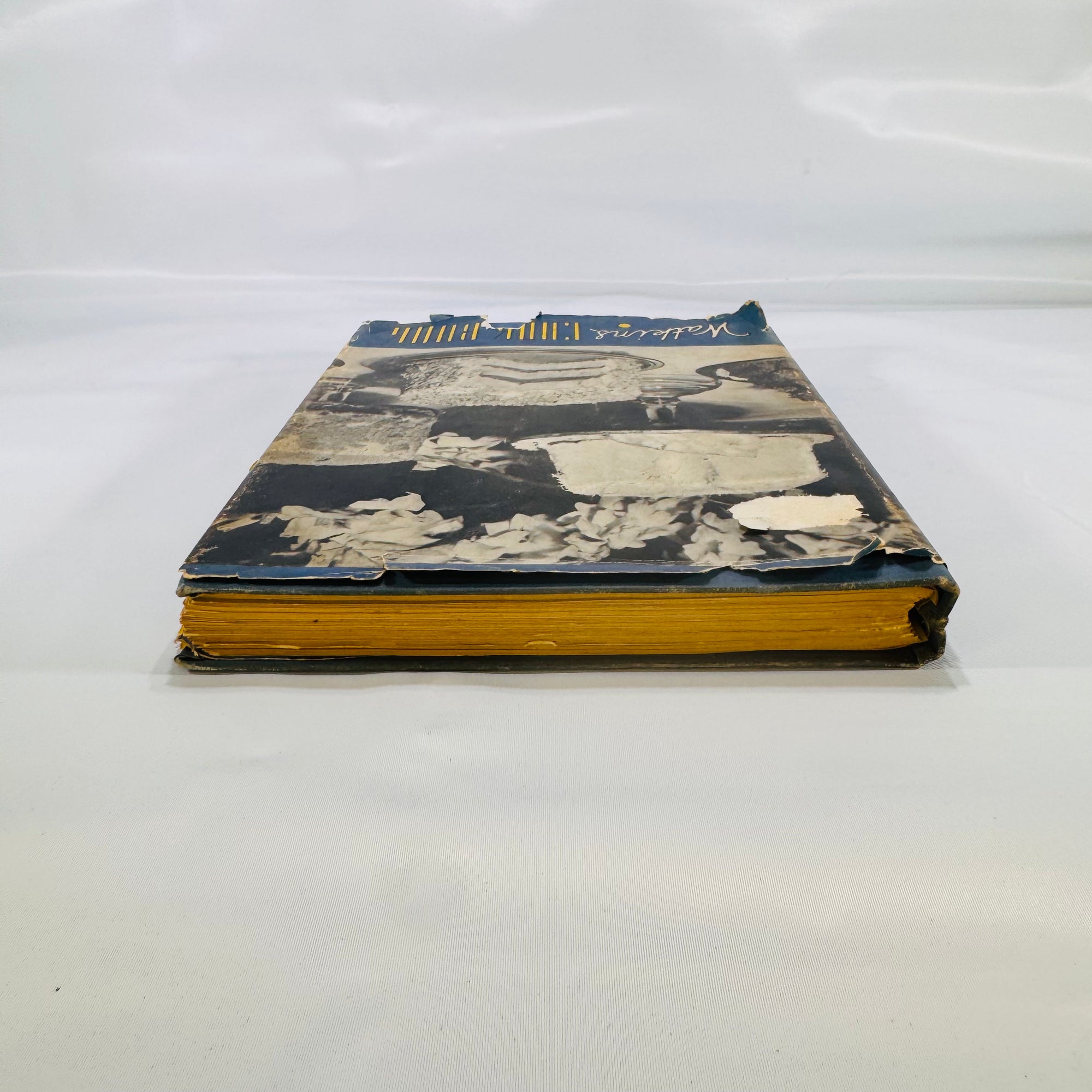 Watkins Cook Book by the J.R. Watkins Company 1938 Blue Spiral Bound with Dust Jacket