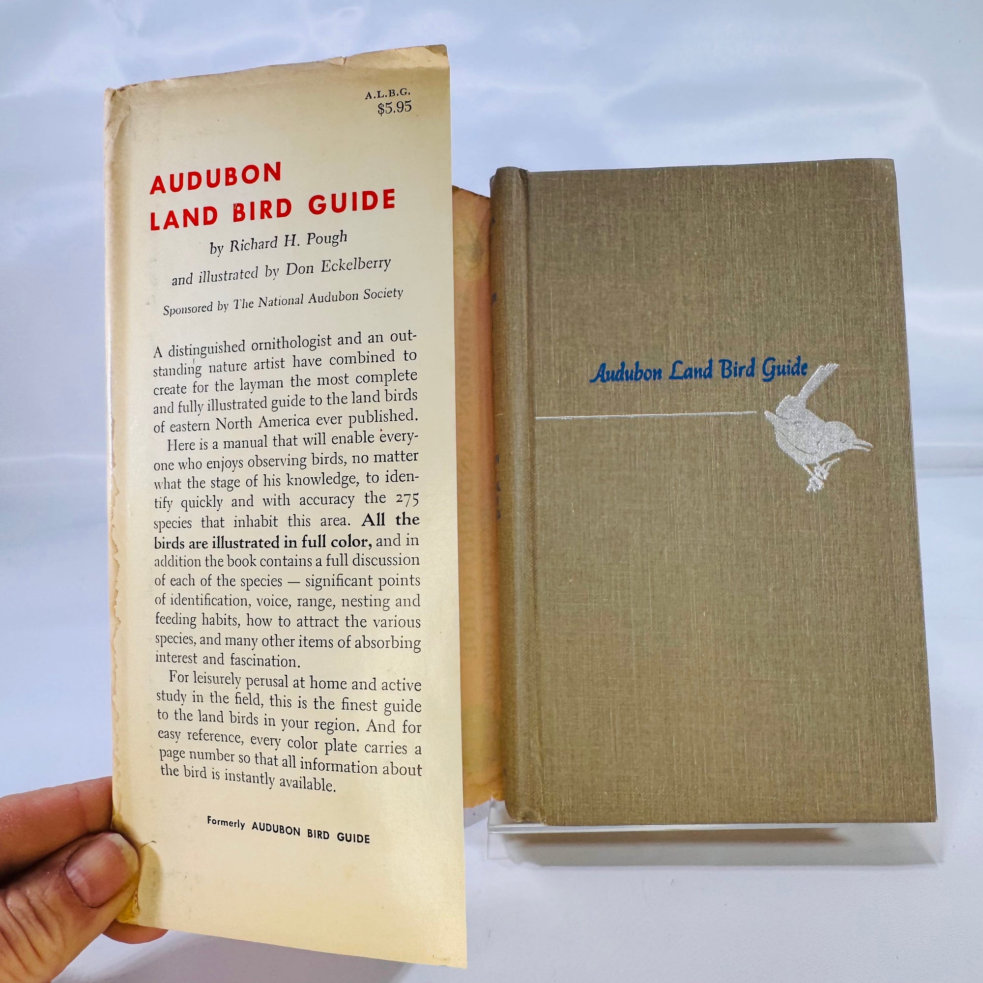 Audubon Land Bird Guide (Nature • Field Guide) – 1949 Illustrated Hardcover