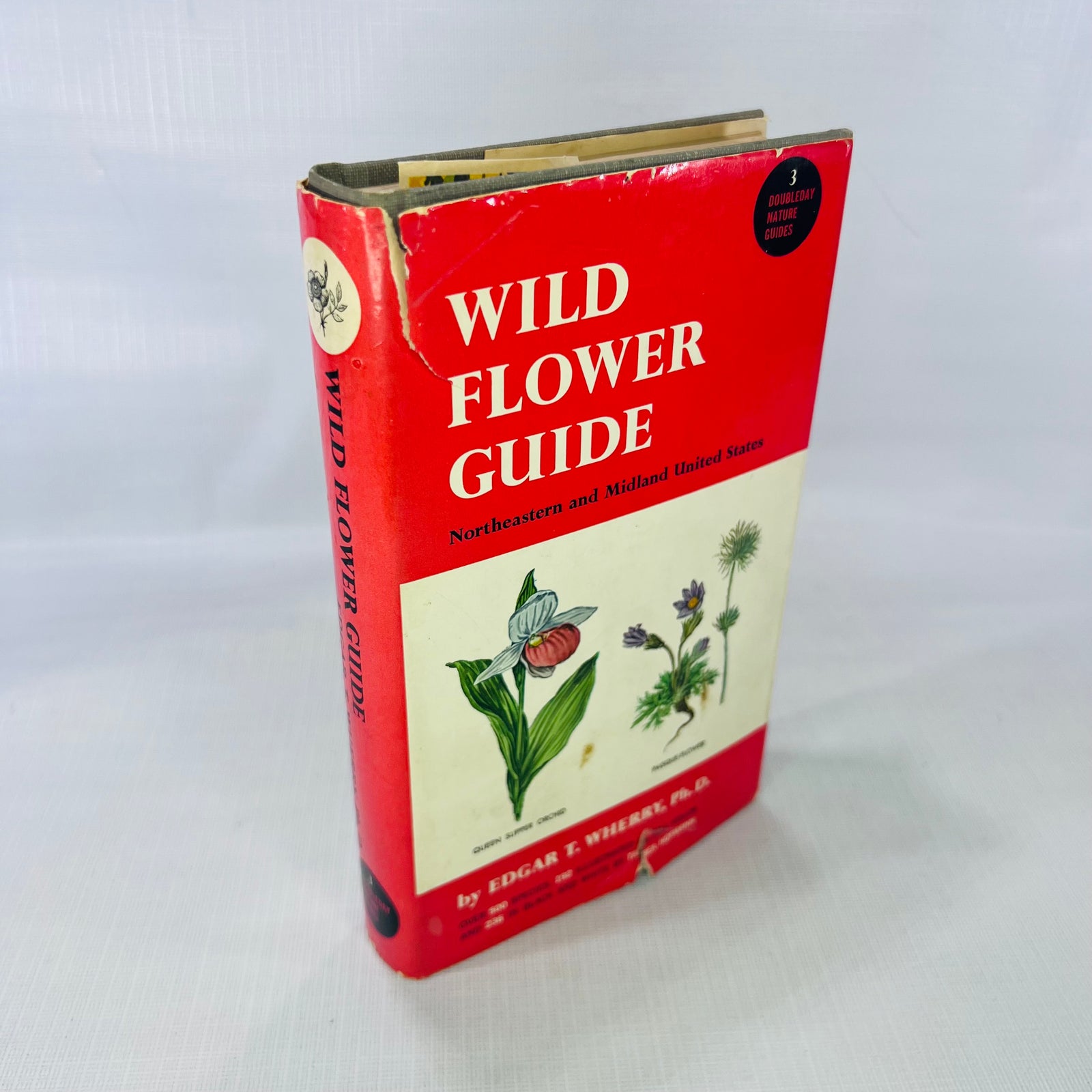 Wild Flower Guide Northeastern and Midland United States by Edgar T. Wherry illustrated by Tabea Hofmann 1948 Doubleday & Company